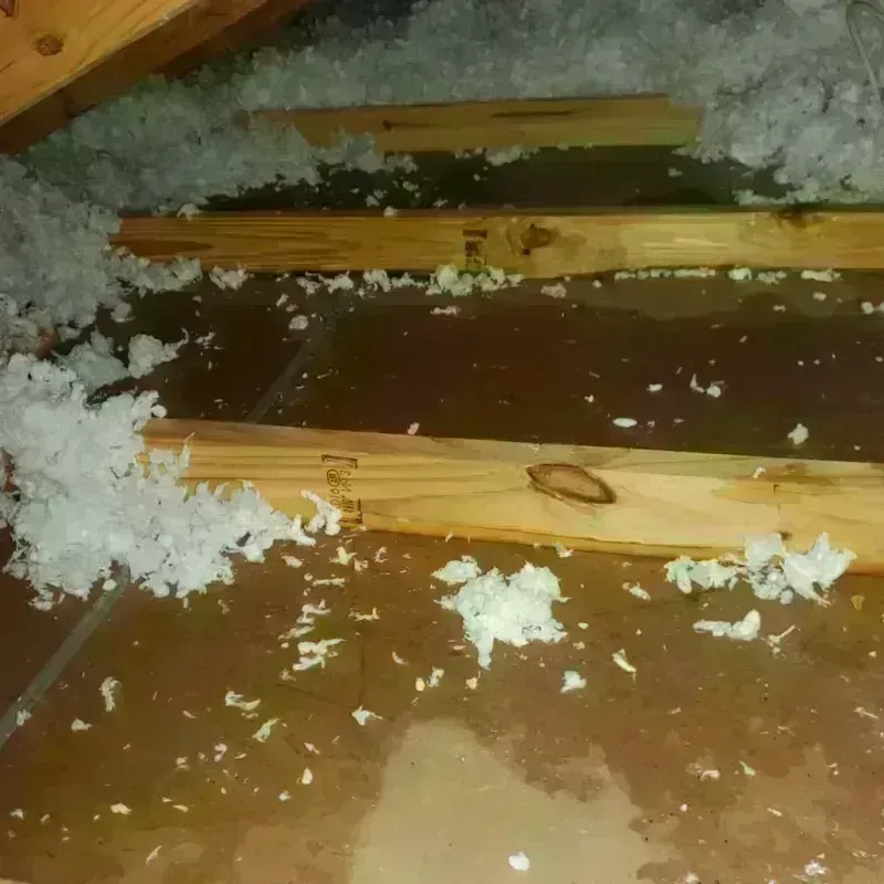 Attic Water Damage in Lusk, WY