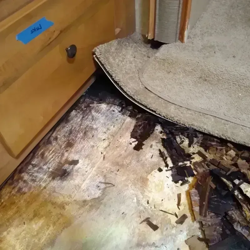 Wood Floor Water Damage in Lusk, WY